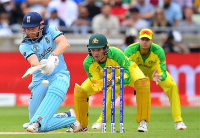 Cricket